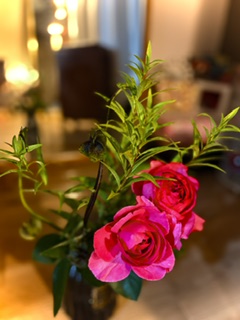 image18.jpeg